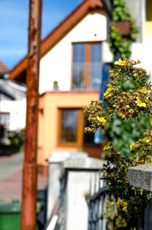 Relax Penzion U Adama Hotel Dolná Tižina Exterior foto